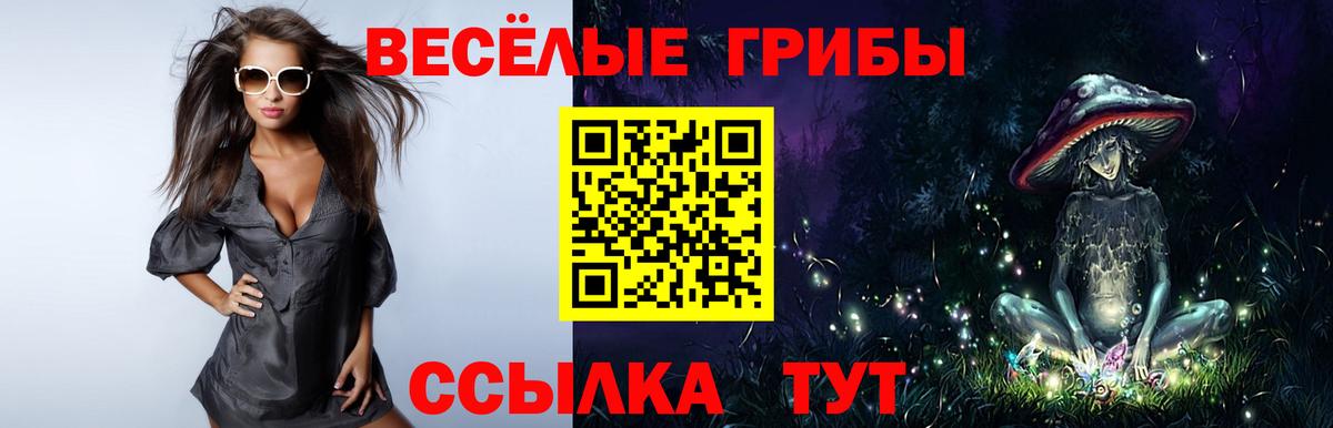 Псилоцибиновые грибы Psilocybe Удомля