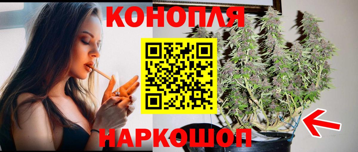 Бошки марихуана сатива Удомля